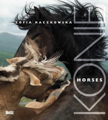 Konie.Horses