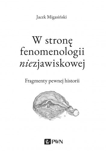 W stronę fenomenologii niezjawiskowej Fragmenty pewnej historii