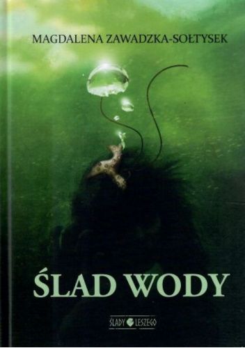 Ślad wody