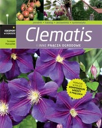 Clematis i inne pnącza ogrodowe