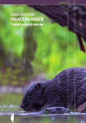 Pałace na wodzie. Tropem polskich bobrów