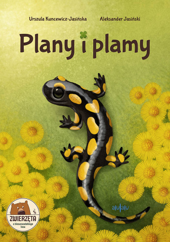 Plany i plamy