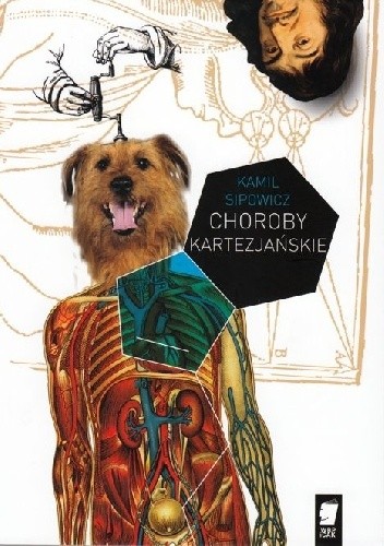 Choroby kartezjańskie