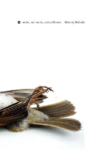 wsie, animalia, miscellanea