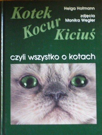 Kotek, kocur, kiciuś, czyli wszystko o kotach