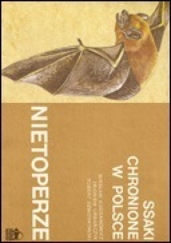 Ssaki chronione w Polsce. Nietoperze