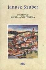 O chłopcu mieszającym powidła