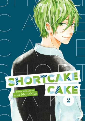 Shortcake Cake #2