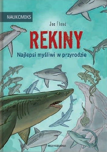 Rekiny. Najlepsi myśliwi w przyrodzie