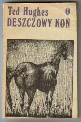 Deszczowy koń