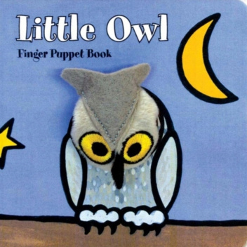 Little Owl