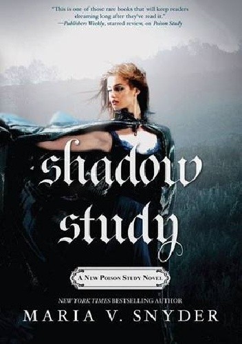 Shadow Study