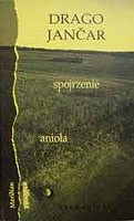 Spojrzenie anioła