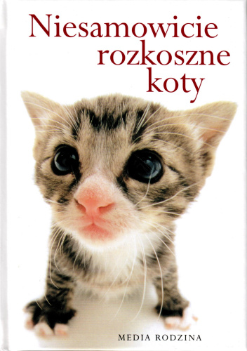 Niesamowicie rozkoszne koty