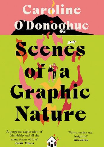 Scenes of a Graphic Nature