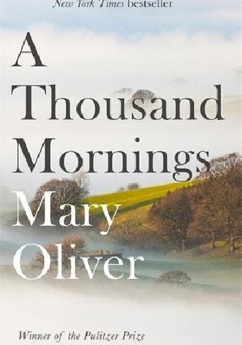 A thousand mornings