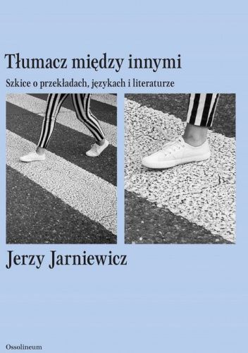 Tłumacz między innymi. Szkice o przekładach, językach i literaturze