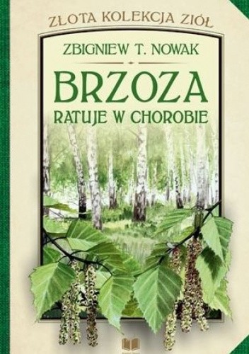 Brzoza ratuje w chorobie