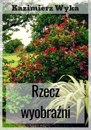 Rzecz wyobraźni