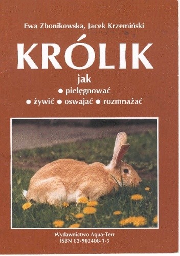 Królik