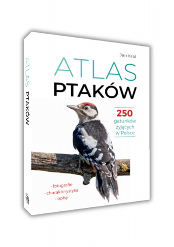 Atlas ptaków