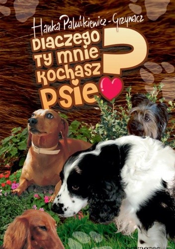 Dlaczego ty mnie kochasz, psie?