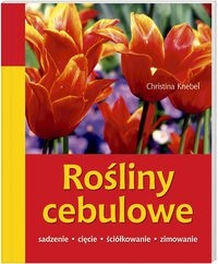 Rośliny cebulowe