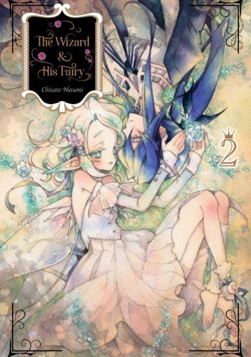 The Wizard and His Fairy Vol.2