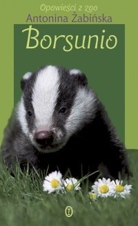 Borsunio