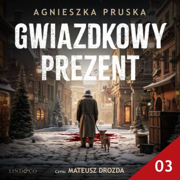 Gwiazdkowy prezent 03