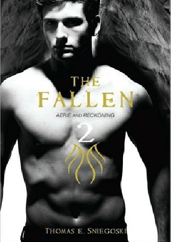 The Fallen Omnibus 2: Aerie and Reckoning