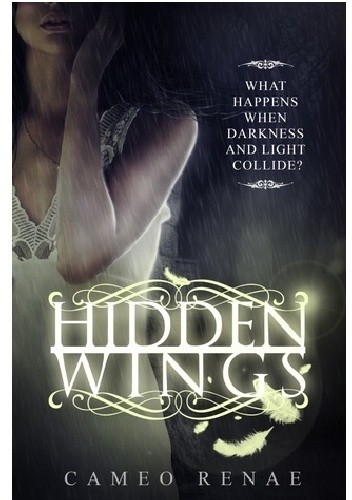 Hidden Wings