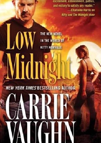 Low Midnight