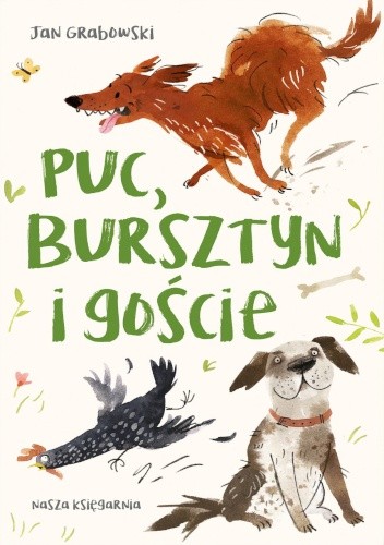Puc, Bursztyn i goście