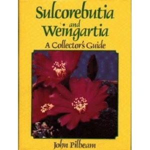 Sulcorebutia and Weingartia