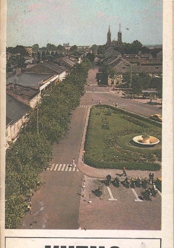 Kutno i okolice