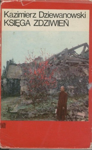 Księga zdziwień