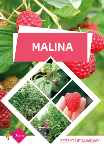 Malina – zeszyt uprawowy