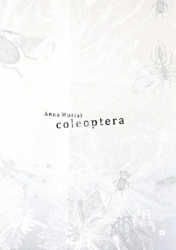 Coleoptera