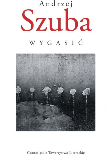 Wygasić