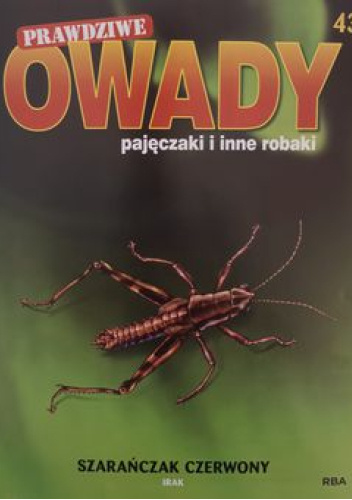 Szarańczak czerwony