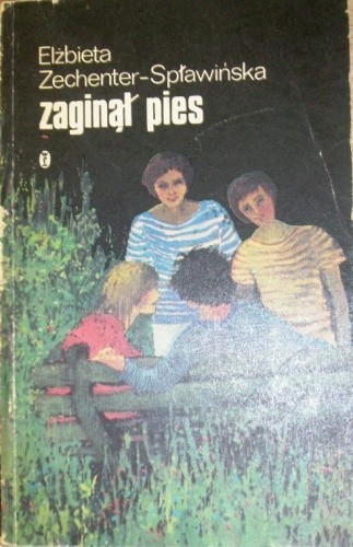Zaginął pies