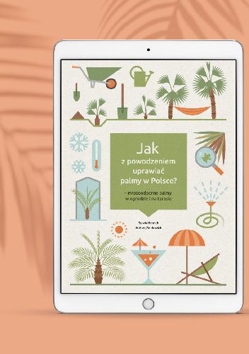 Jak z powodzeniem uprawiać palmy w Polsce - mrozoodporne palmy w ogrodzie i na tarasie
