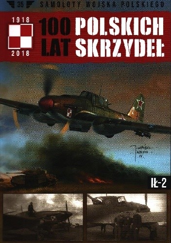 100 Lat Polskich Skrzydeł - Ił-2