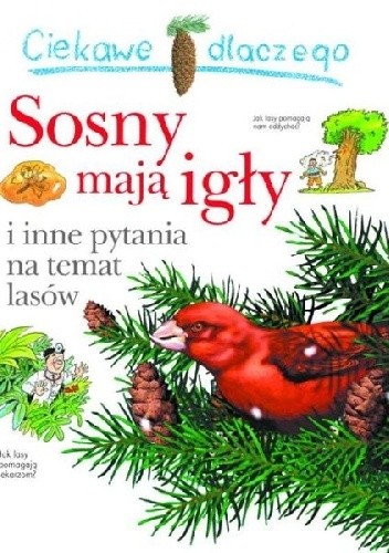 Ciekawe dlaczego sosny mają igły