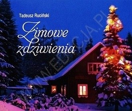 Zimowe zdziwienia. Perełka 19