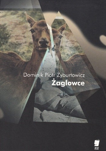 Żaglowce