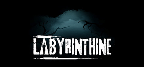 Okładka gry Labyrinthine