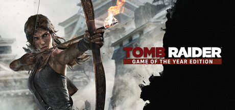 Okładka gry Tomb Raider Game of the Year