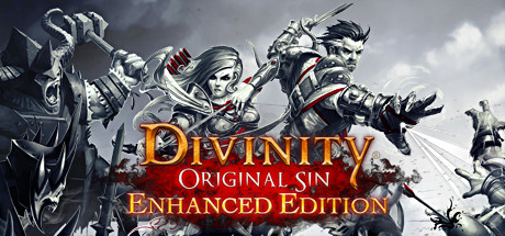 Okładka gry Divinity: Original Sin - Enhanced Edition